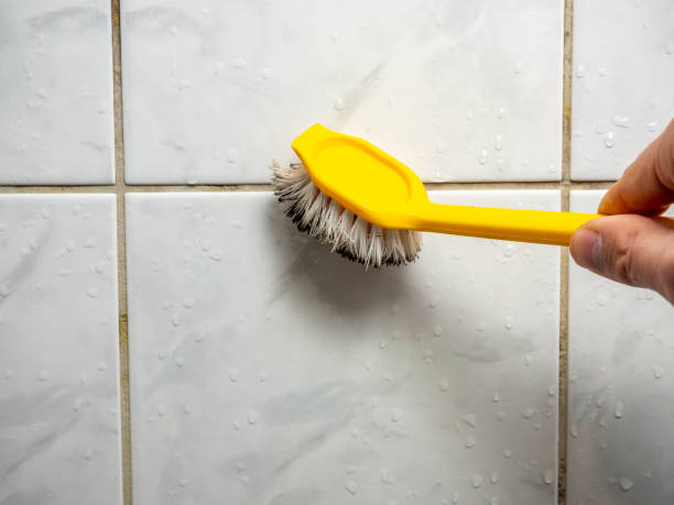 Professional Mold Removal in Woodville, TX