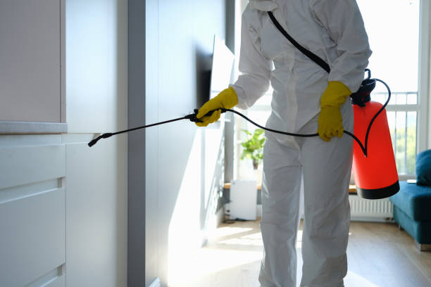 Best Mold Cleaning Services  in Woodville, TX