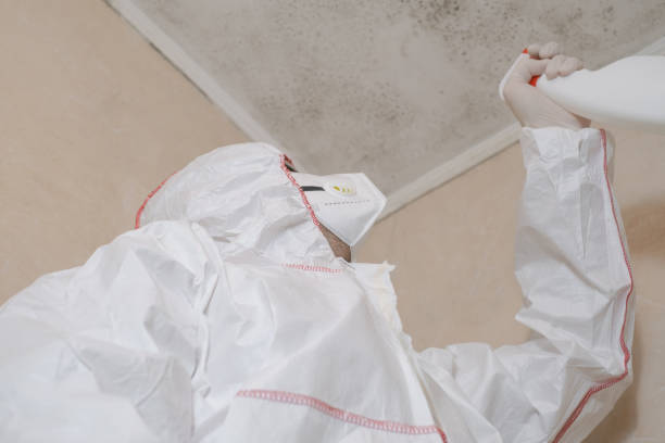 Best Mold Remediation  in Woodville, TX