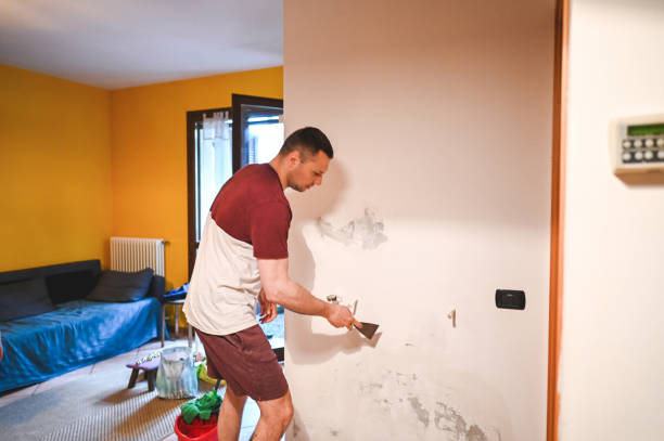 Best Mold Removal Near Me  in Woodville, TX