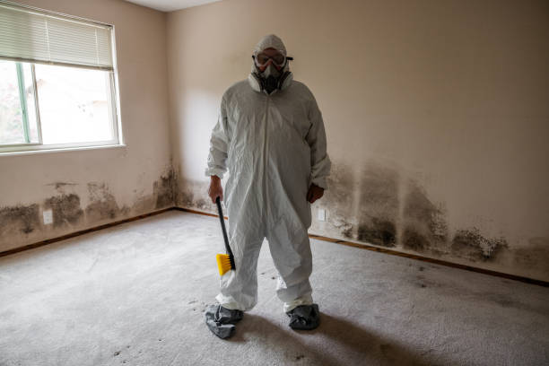 Best Mold Damage Repair  in Woodville, TX